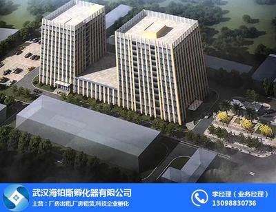 專業(yè)潔凈，為創(chuàng)新護航 武漢海鉑斯孵化器實驗室清洗刷解析