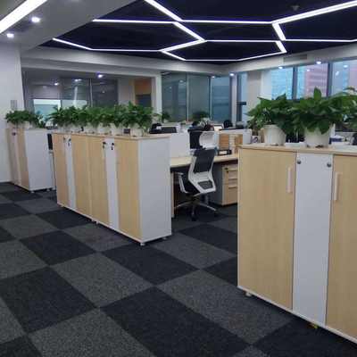 南山區綠植租擺服務 專業植物租賃廠家，為辦公與商業空間注入自然活力